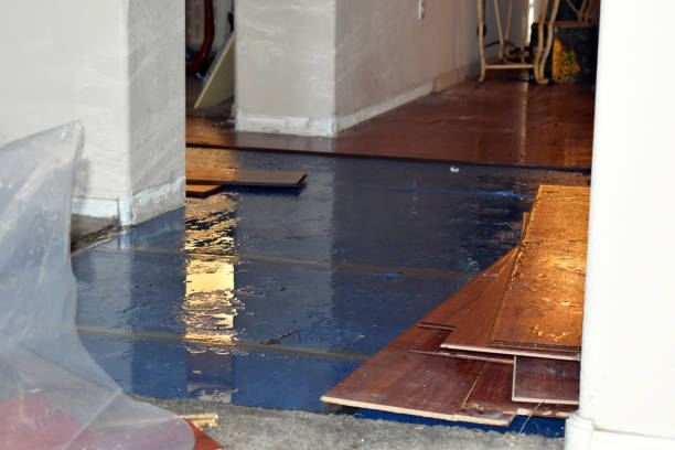 Professional Flood Damage Repair technician working in Roslyn Heights, NY
